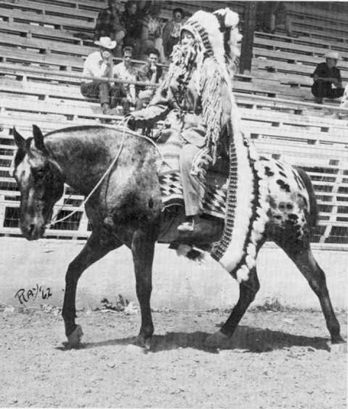 PATCHY JR (Patchy x Leopard lady)